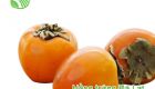 Persimmon