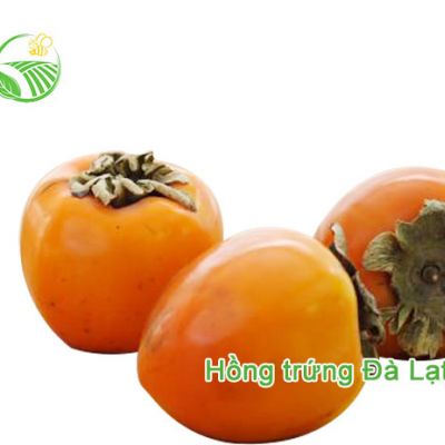 Hồng Trứng