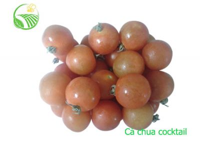 Cocktail Tomato