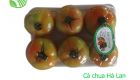Holand Tomato