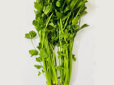 Hydroponics Celery