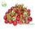 Radish