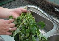 Mẹo rửa rau thật sạch và an toàn