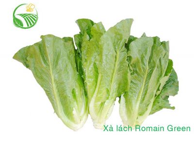 Romaine Green