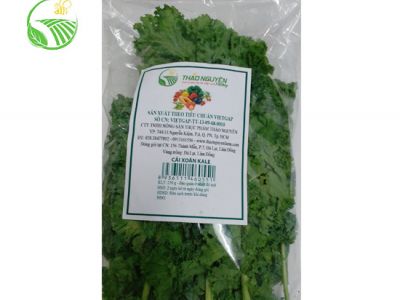 Cải Kale