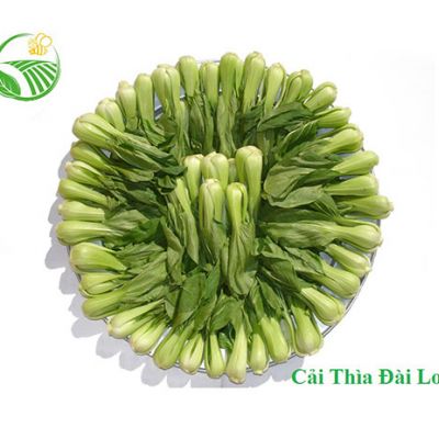 Cải Thìa Đài Loan