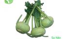 Kohlrabi