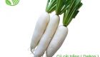 Daikon