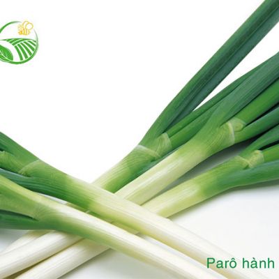 Paro Hành