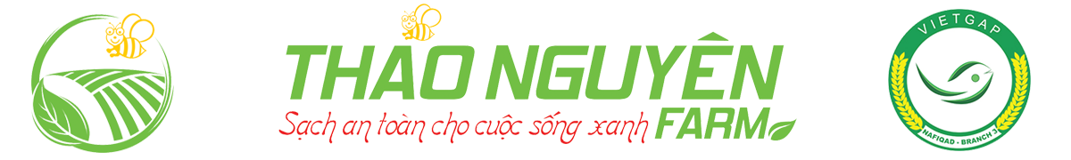 QA Boutique