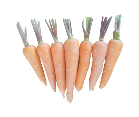 Da Lat Carrot