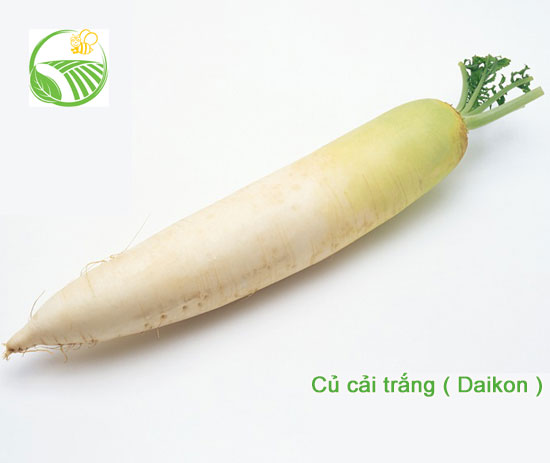 Daikon