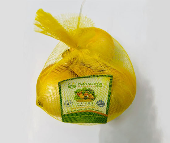 Onion