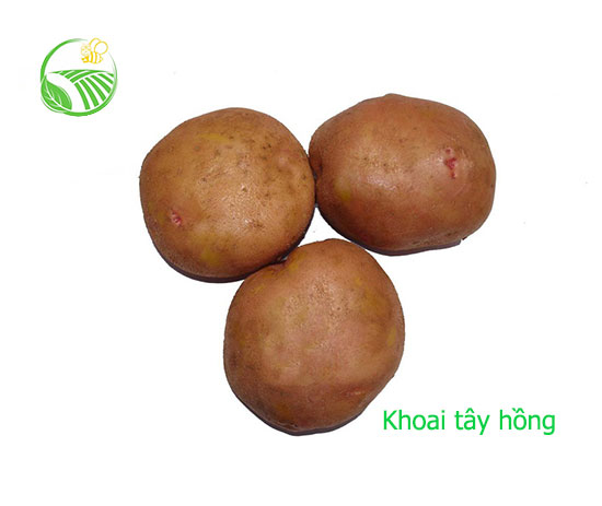 Pink Potato