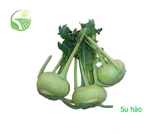 Kohlrabi