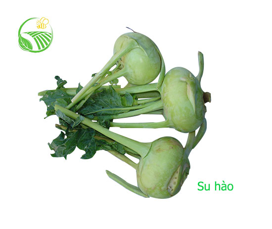 Kohlrabi