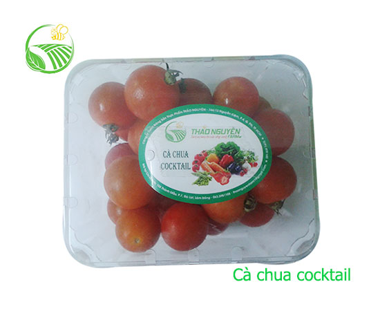 Cocktail Tomato