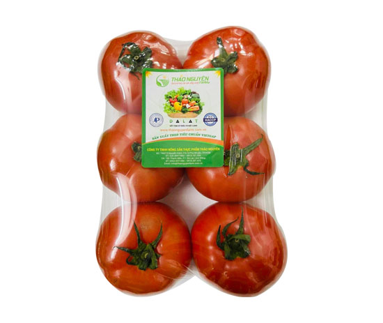 Holand Tomato