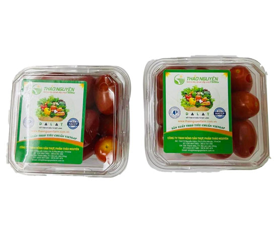 Roseberry Tomato