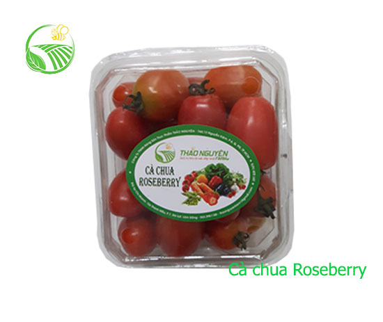Roseberry Tomato