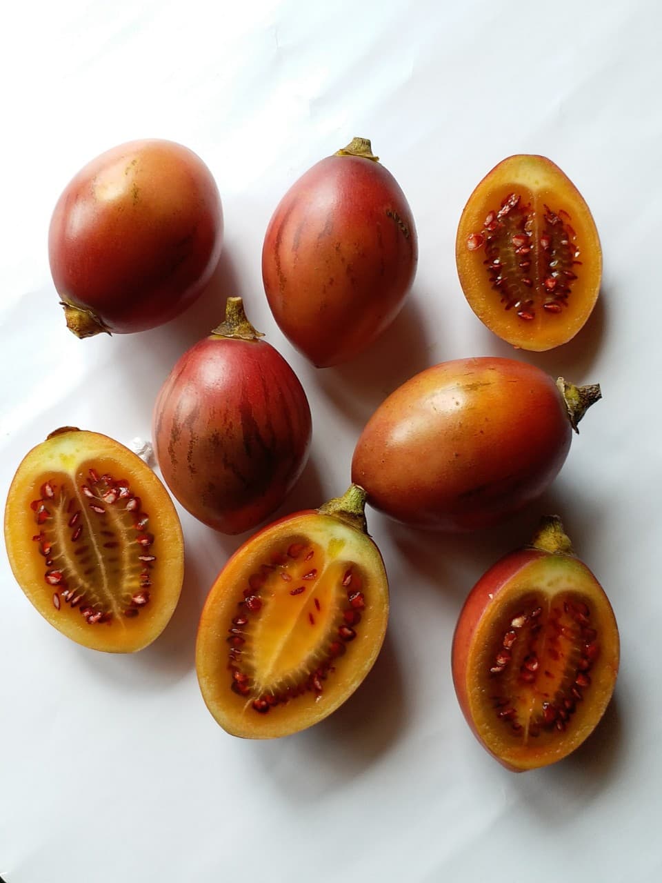 Woody Tomato