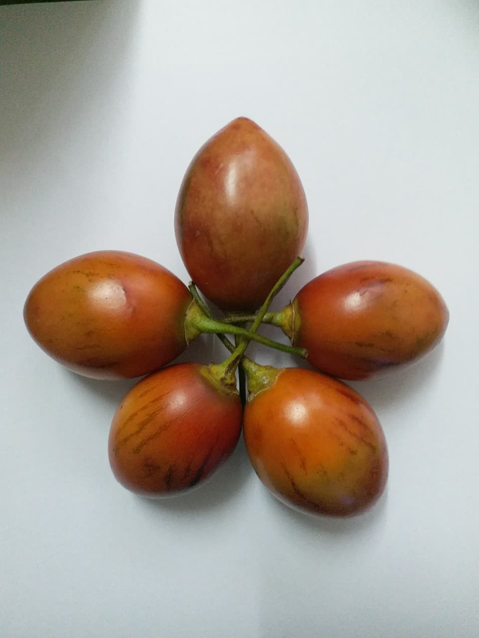 Woody Tomato