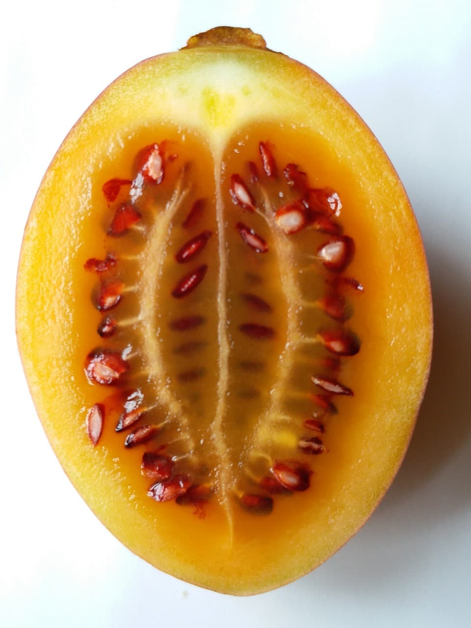 Woody Tomato