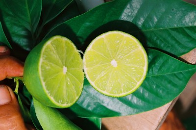 Seedless Lemon