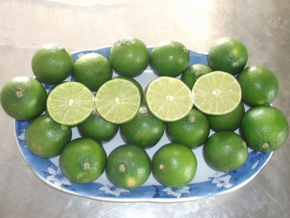 Seedless Lemon
