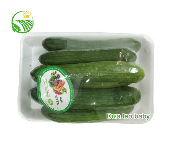 Baby Cucumber