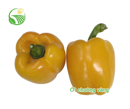 Yellow Capsicum