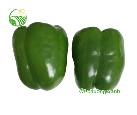Green Capsicum