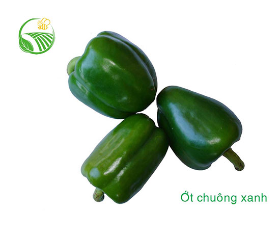 Green Capsicum