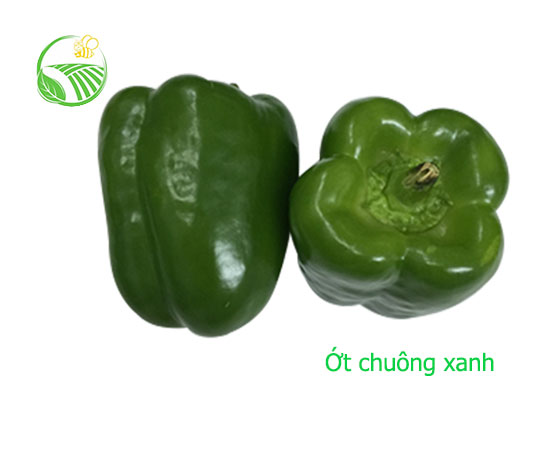 Green Capsicum
