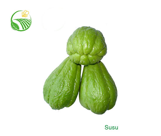 Chayote
