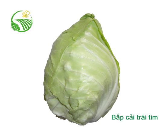 Bắp Cải Trái Tim