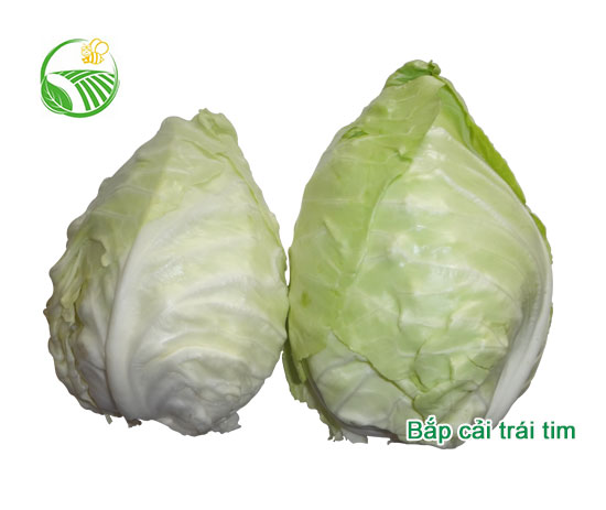 Bắp Cải Trái Tim