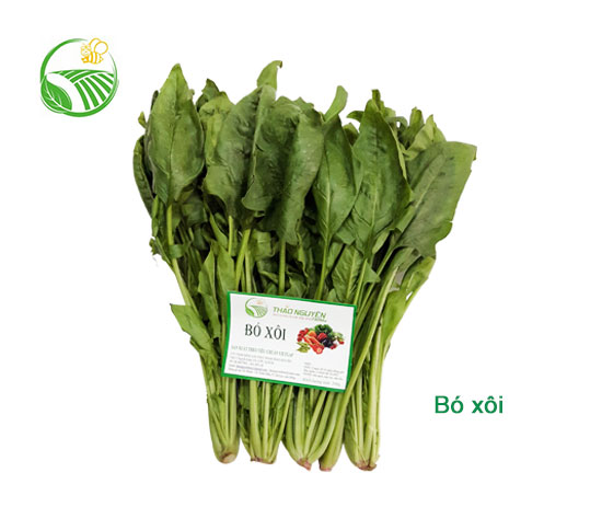 Cải Bó Xôi
