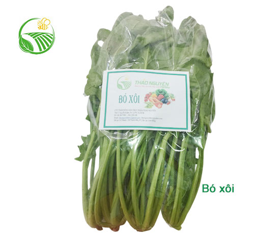 Cải Bó Xôi