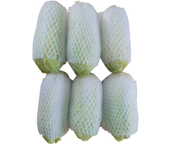 Cải Thảo