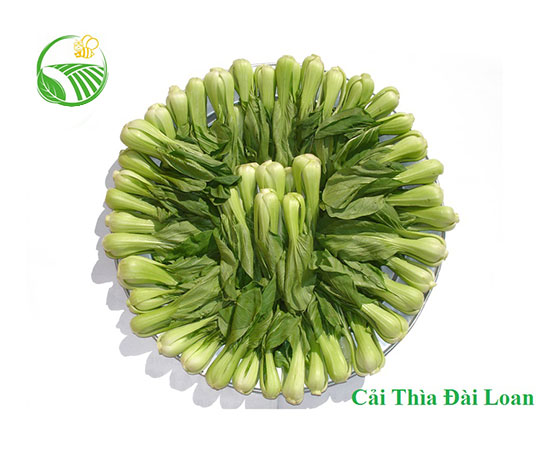 Cải Thìa Đài Loan