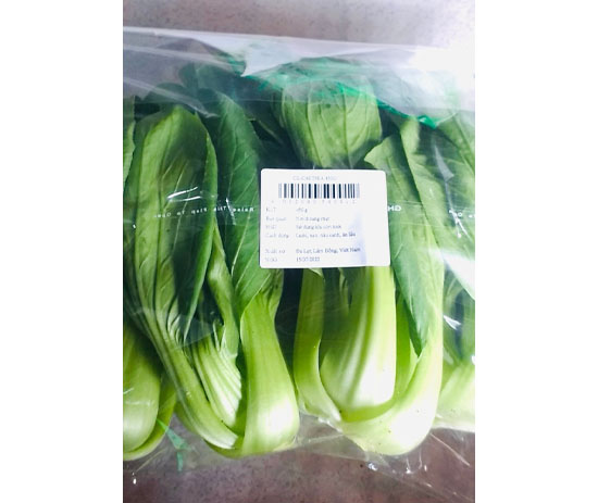 Cải Thìa Đài Loan