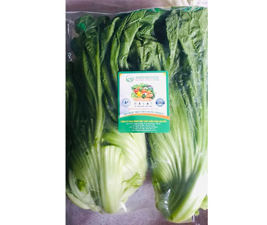 Cải Xậy