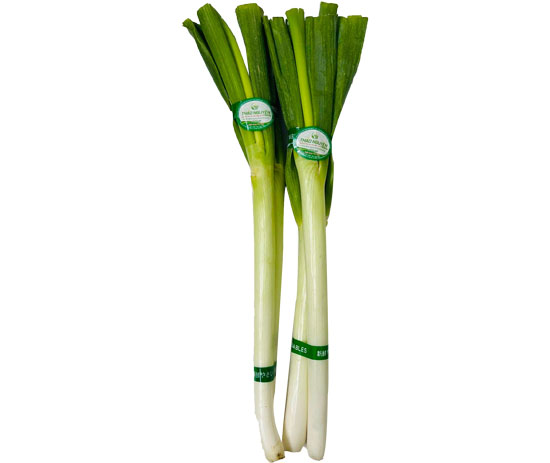 Poireau Onion
