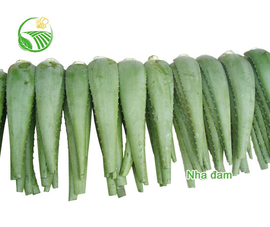 Aloe