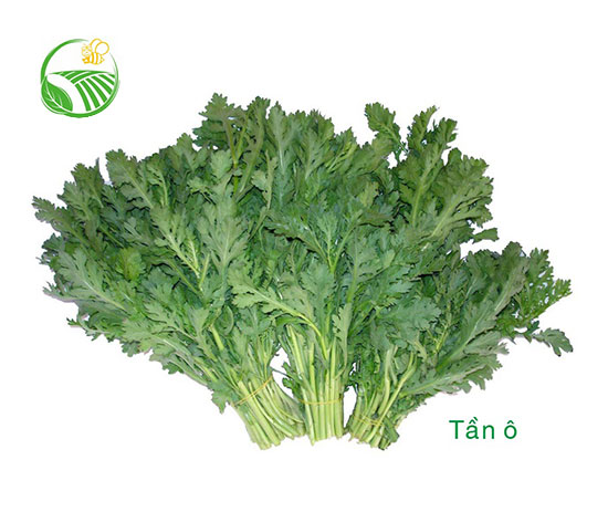Garlard Chrysanthemum