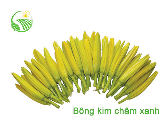Bông Kim Châm Xanh