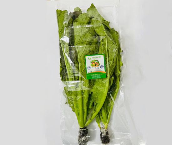 Hydroponic Mustard Leaves