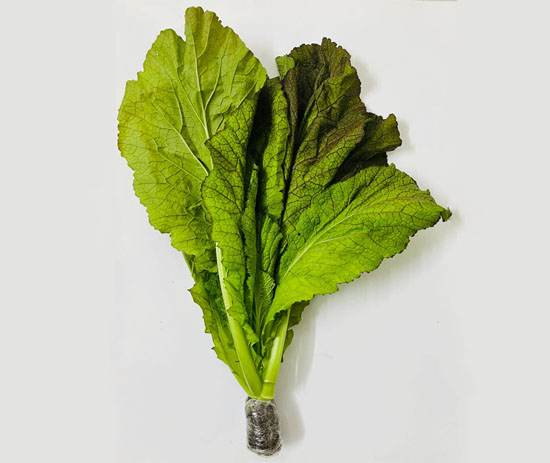 Hydroponic Mustard Leaves