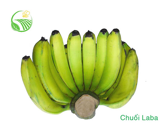 Laba Banana